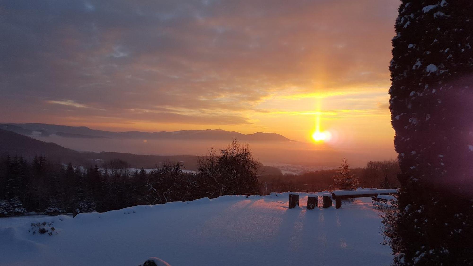 Landhaus Lehnerhof Schaufling ภายนอก รูปภาพ