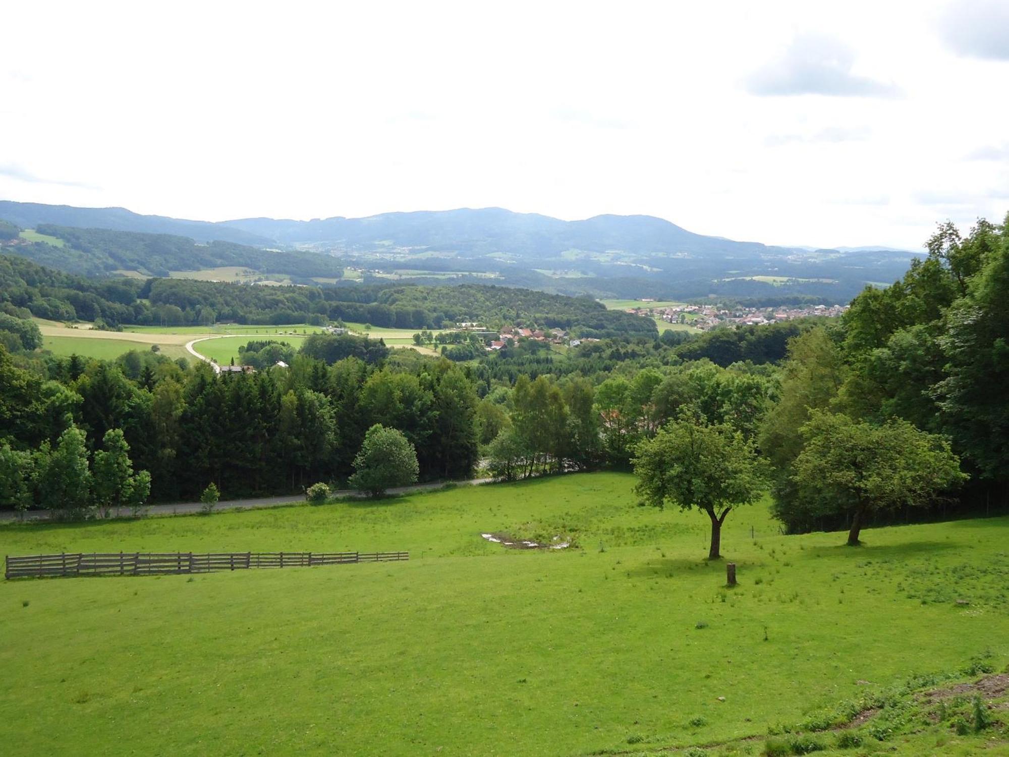 Landhaus Lehnerhof Schaufling ภายนอก รูปภาพ